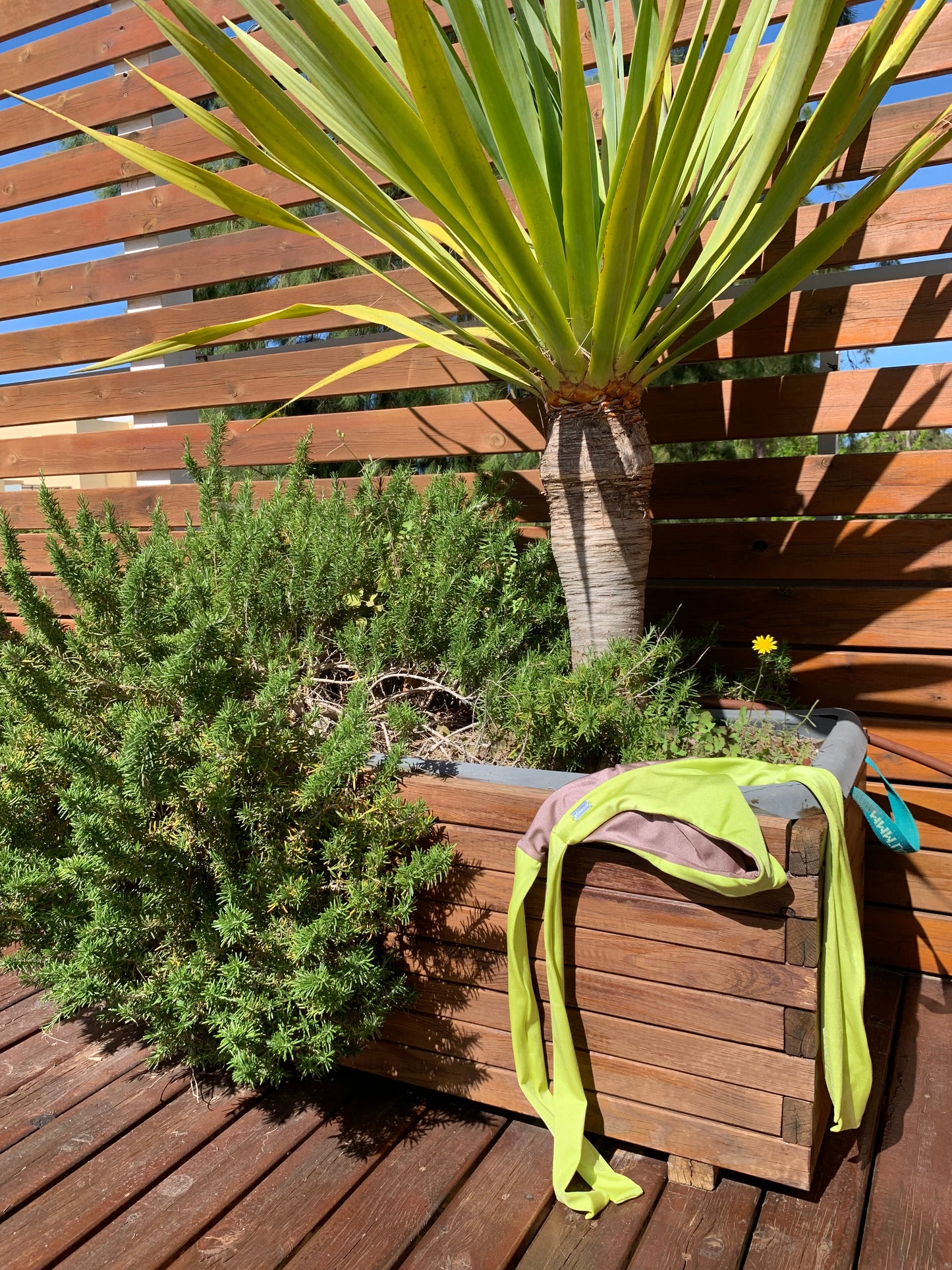 Green Pistaccio bikini set